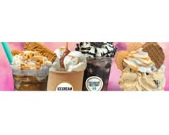 Ice Cream Factory