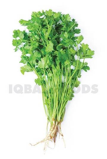 Parsley Reg (Each Bunch)