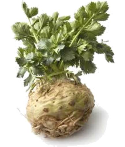 Celeriac