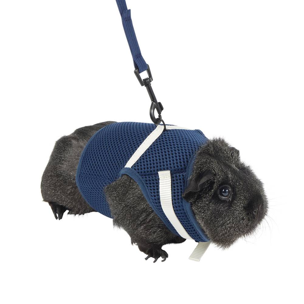 Full Cheeks Small Pet Harness, Large, Navy