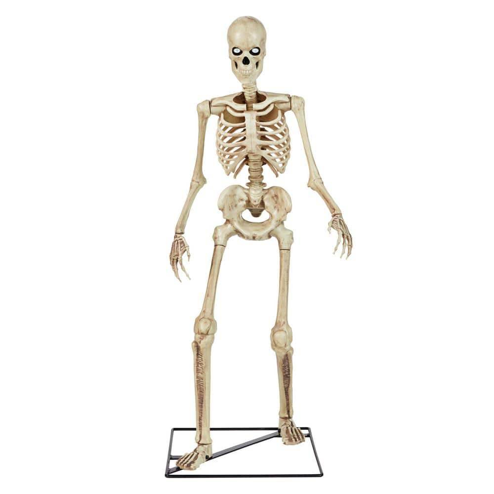 Home Accents Holiday 3 Ft. Led Skeleton