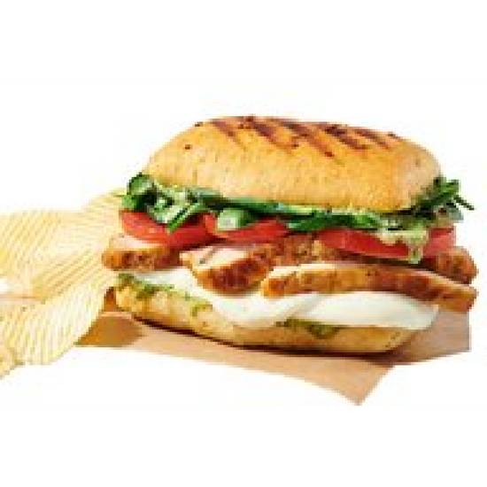 Chicken Caprese Panini Regular