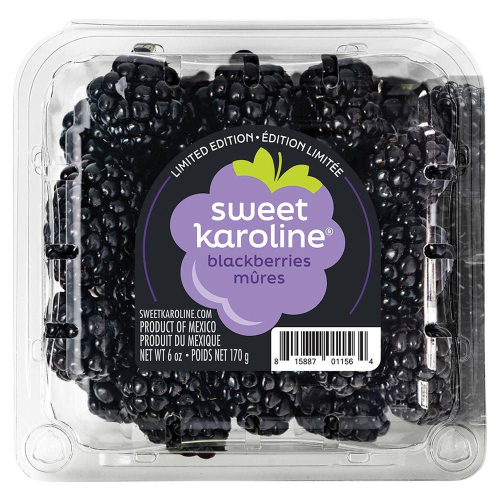 Sweet Karoline Blackberries 12 Oz