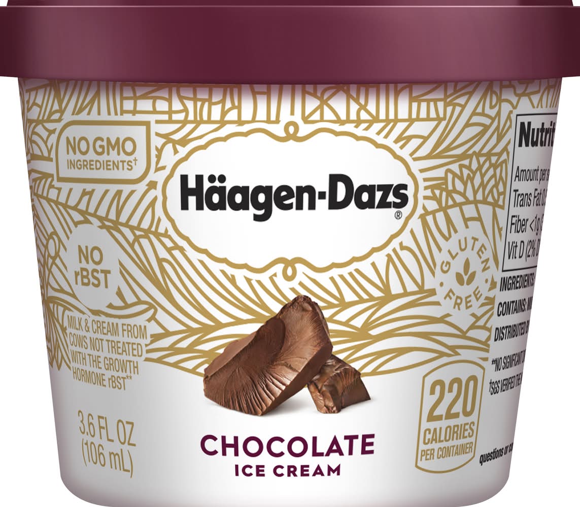 Häagen-Dazs Chocolate Ice Cream (3.6 fl oz)