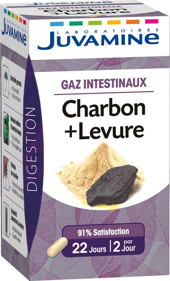 Juvamine - Charbon levure gaz intestinaux gélules (45 pièces)