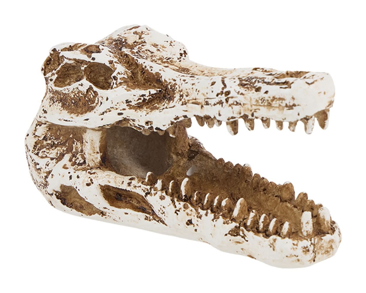 Thrive™ Crocodile Terrarium Décor (Size: 1 Count)