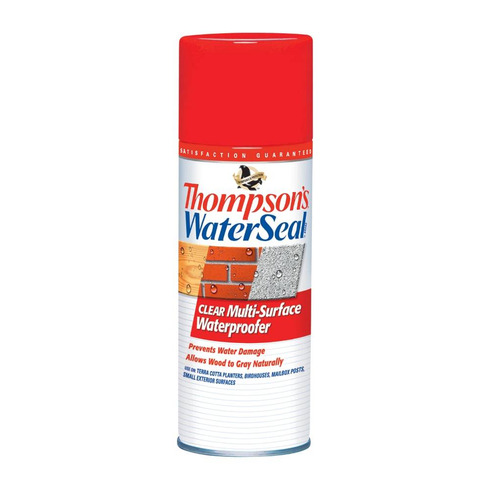 Thompson's WaterSeal Clear Flat Transparent Oil-based Exterior Waterproofer (12-oz) | TH.010100-18