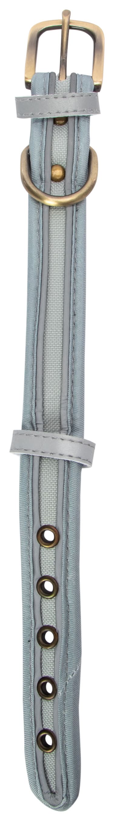 Pawsitively Fun! Dog Collar Medium Gray