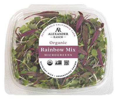 Rainbow Mix Microgreens Organic - 1.75 Oz