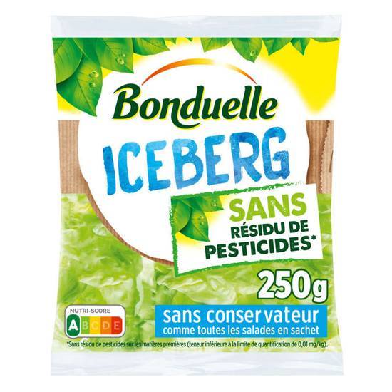 Bonduelle Salade Iceberg - Sans résidu de pesticides 250 g