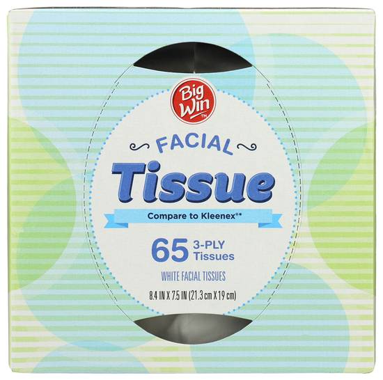 Big Win Facial Tissue - 65 ct