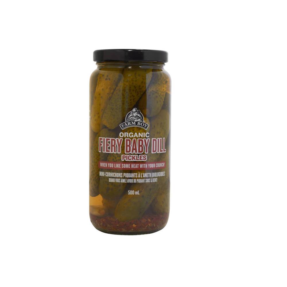 Farm Boy™ Organic Fiery Baby Dill Pickled Cucumbers (500 ml)