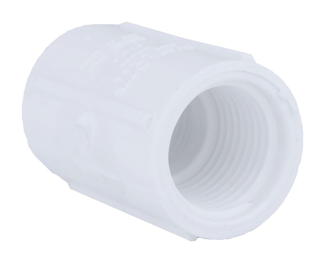 Charlotte Pipe 1/2-in Schedule 40 PVC Coupling
