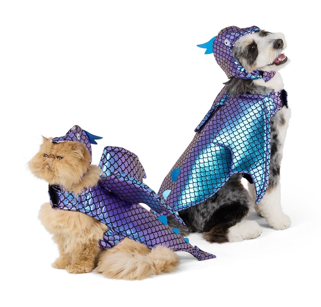 Thrills & Chills® Dragon Dog & Cat Costume (Color: Multi Color, Size: X Large)