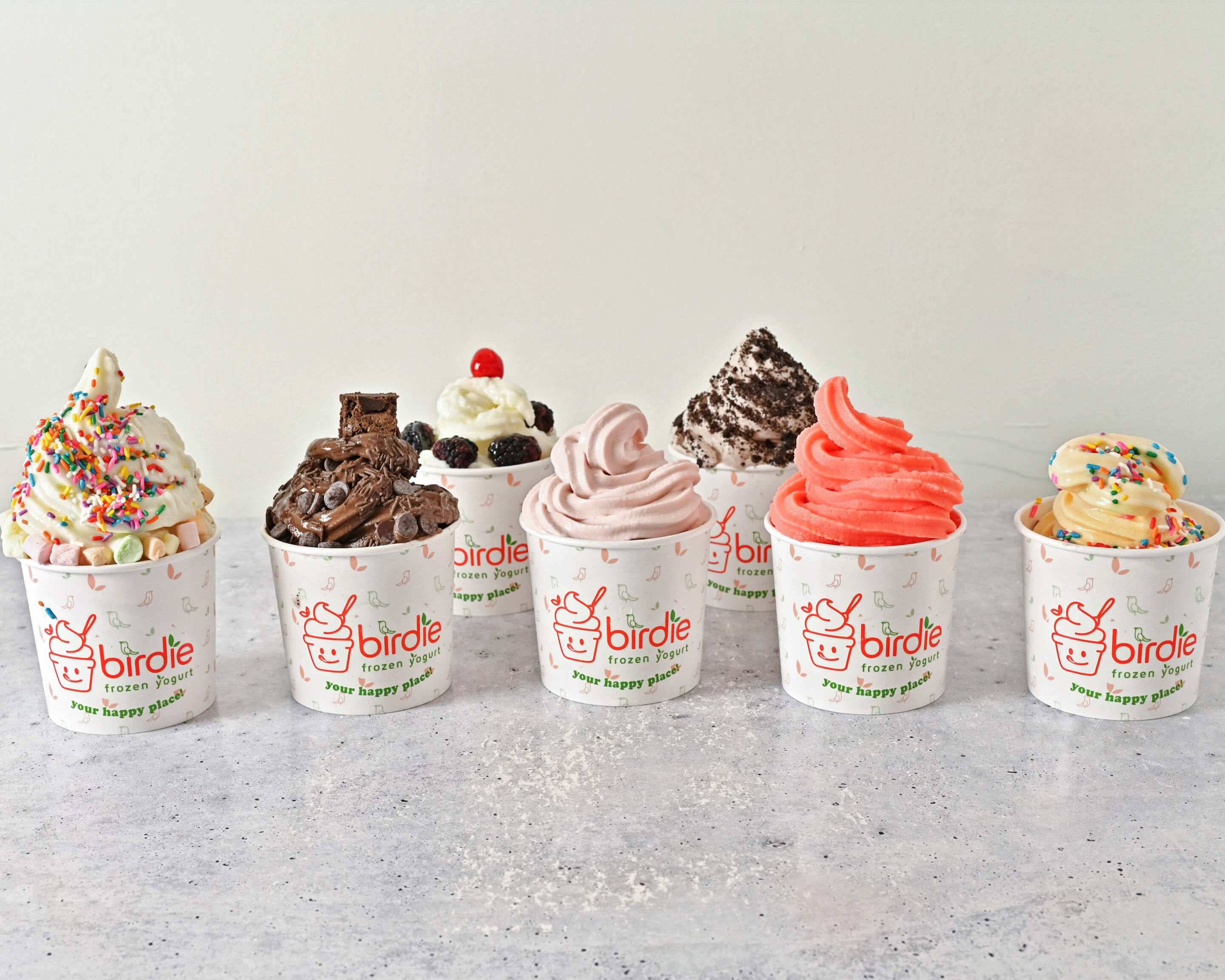 Order Birdie Frozen Yogurt Menu Delivery【Menu & Prices】 Miami Uber Eats