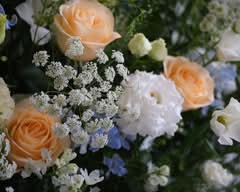 漫花草 Chloris Floral Design