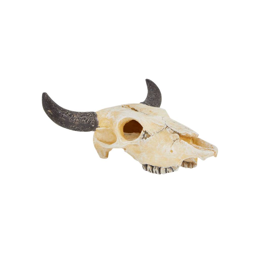 Top Fin Western Animal Skull Aquarium Ornament