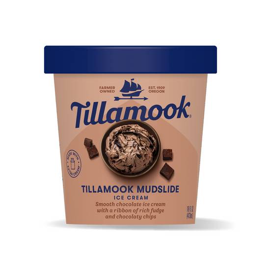 Tillamook Mudslide Ice Cream (chocolate)