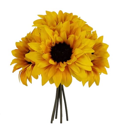 Ashland Sunflower Bundle, 12 in