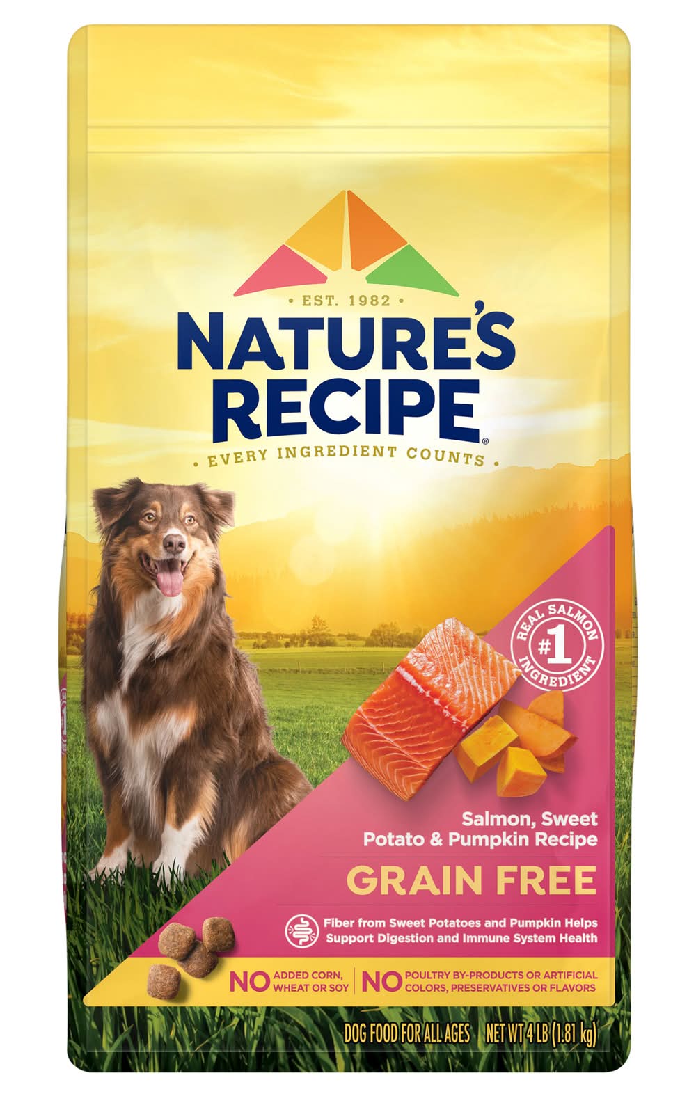 Nature's Recipe Dry Dog Food, Salmon Sweet Potato & Pumpkin (4 lbs)