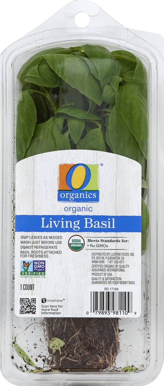 O Organics Living Basil (1 ct)