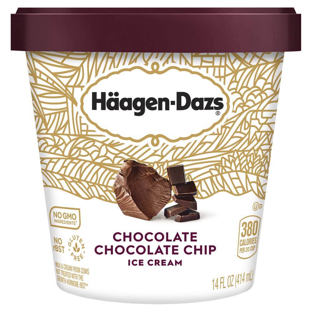 Häagen-Dazs Chocolate Chip Ice Cream