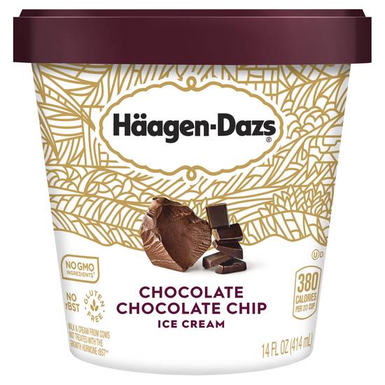 Häagen-Dazs Chocolate Chip Ice Cream