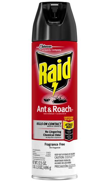 Raid - Ant & Roach Killer Spray - 12/17.5 oz Can (12 Units per Case)
