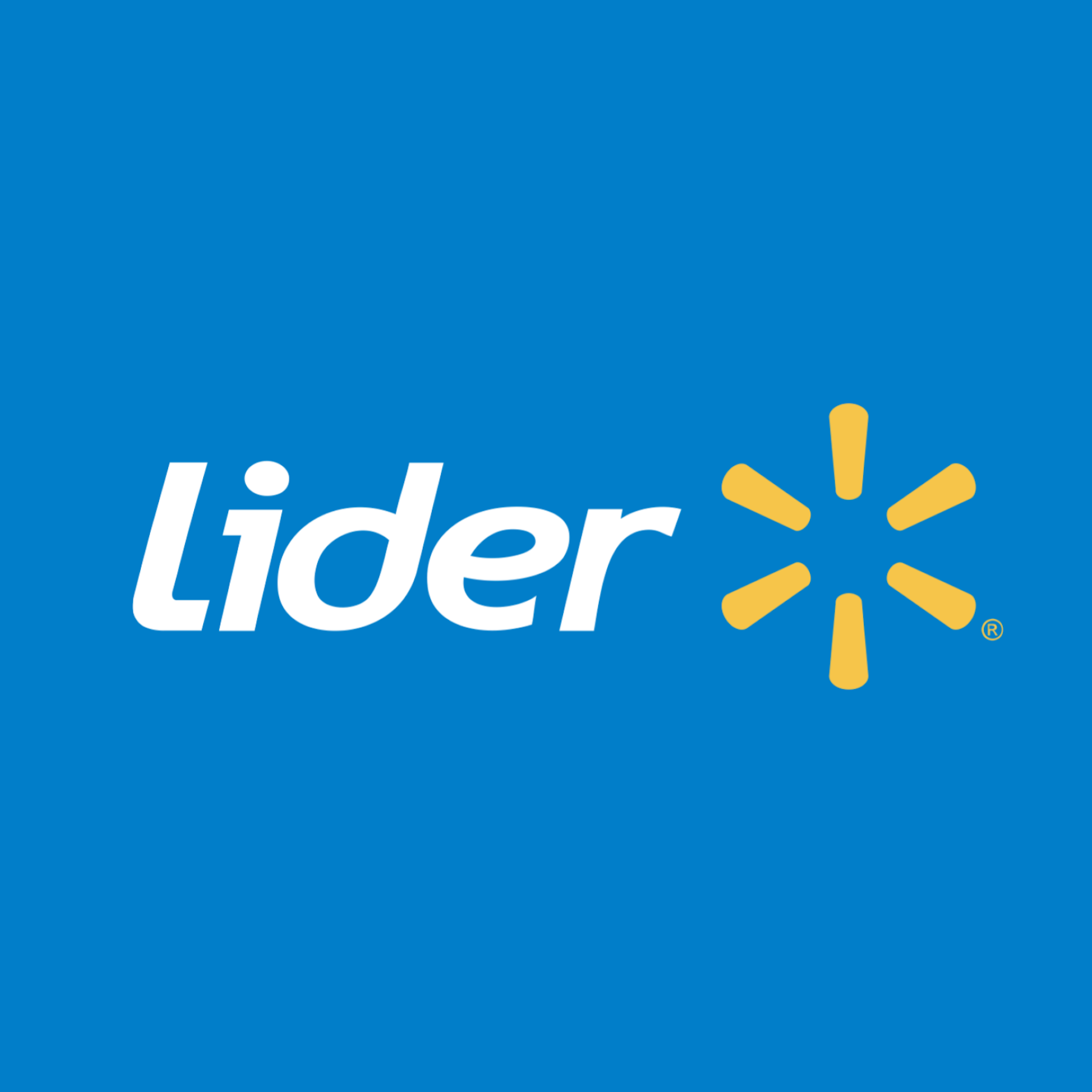 Lider logo