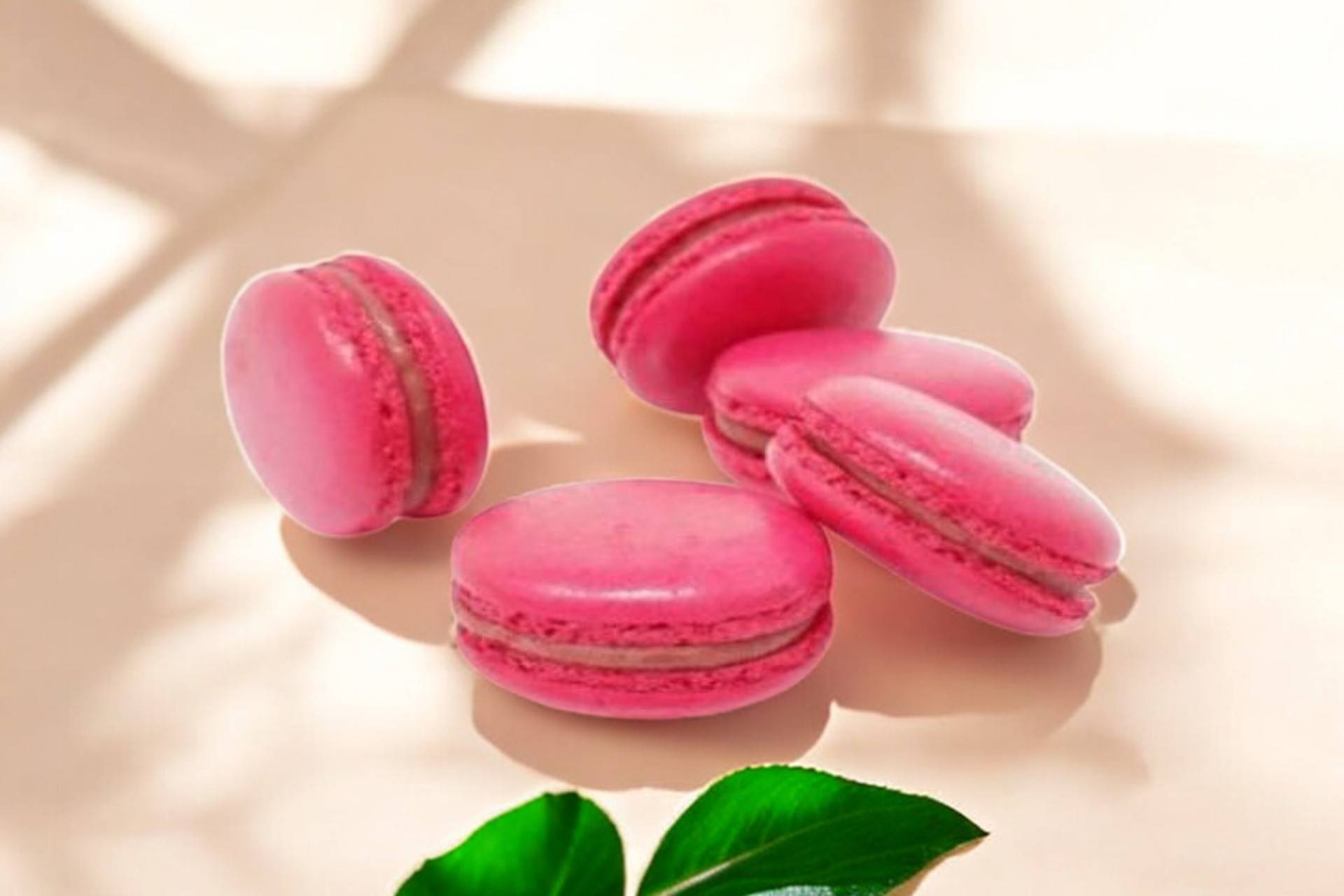 Macaron Framboise