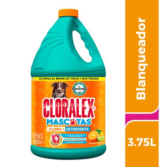 Cloralex limpiador desinfectante mascotas