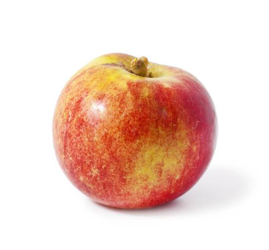 Large Mcintosh Apple