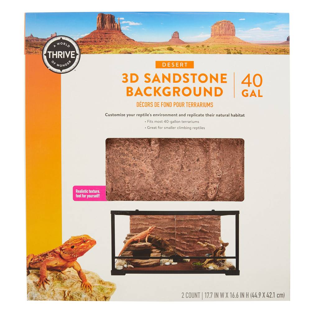 Thrive Desert 3d Background Sandstone (40 gallon)