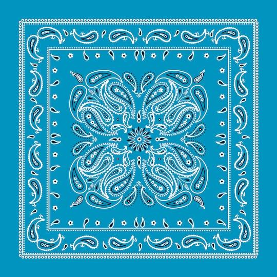 Paisley Bandana By Make Market