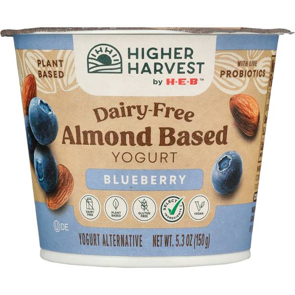 Yogurt Almendra Blueberry 150 Gr