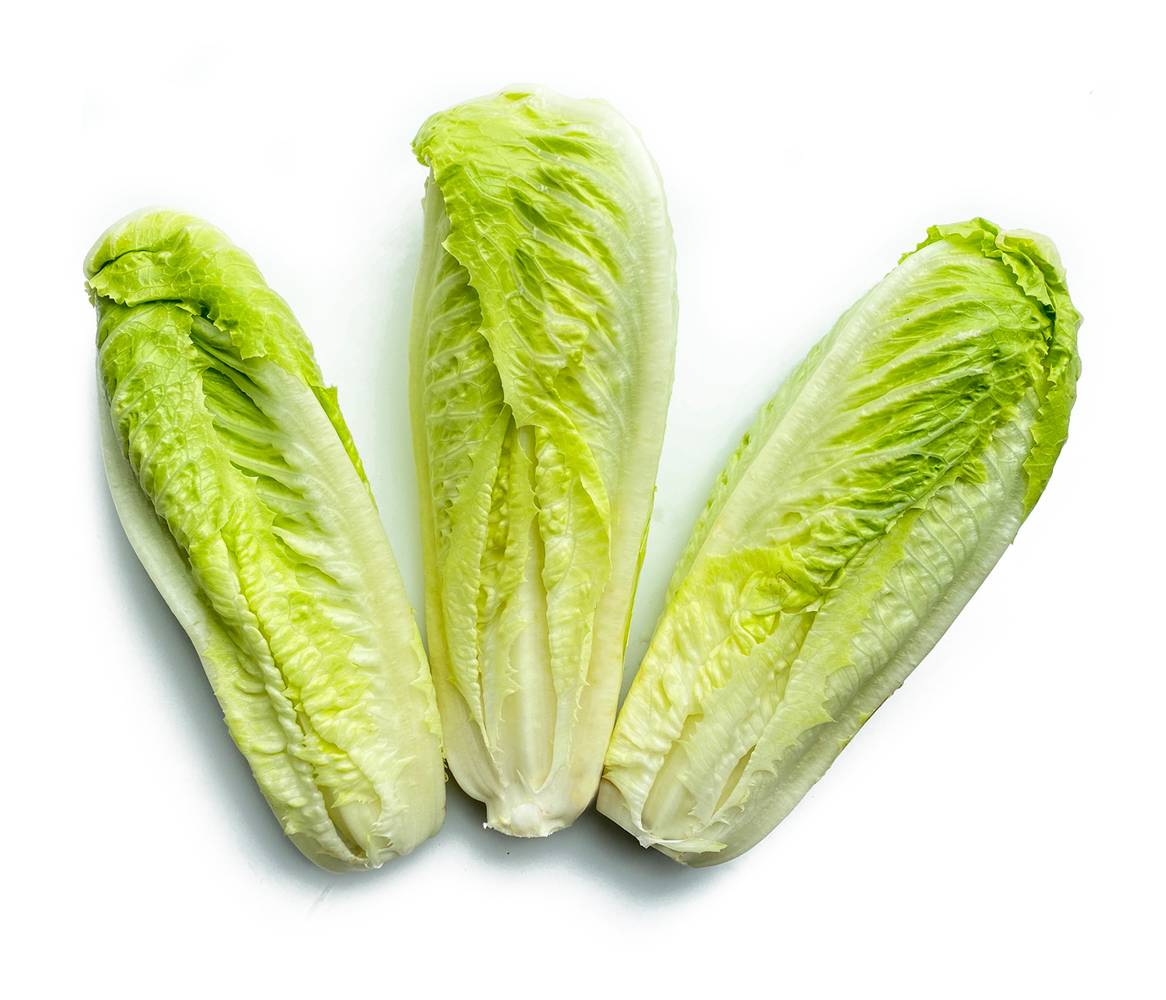 Andy Boy Jumbo Romaine Hearts Lettuce (605 g, 3 ct)