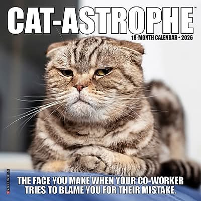 2026 Willow Creek Cat-astrophe 7 x 7 Monthly Wall Calendar (53492X)
