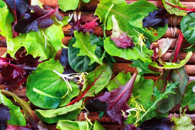 Side of Spring Mix Salad
