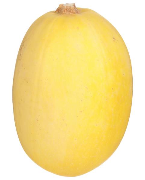 Organic Spaghetti Squash