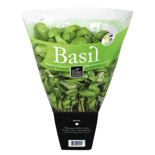 Serres coulombe basilic frais - fresh basil (1 bunch)