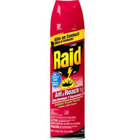 Raid Ant & Roach Spray 12oz