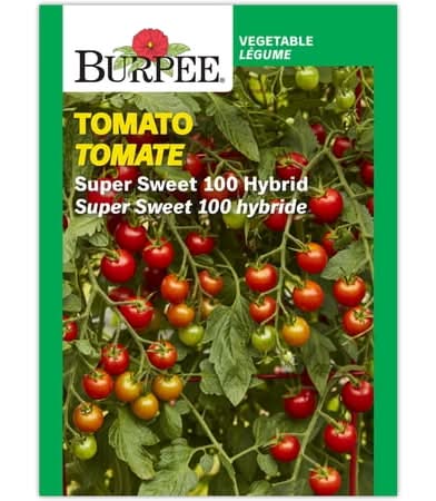 Burpee Super Sweet 100 Hybrid Cherry Tomato, Plant Seeds For Home Garden