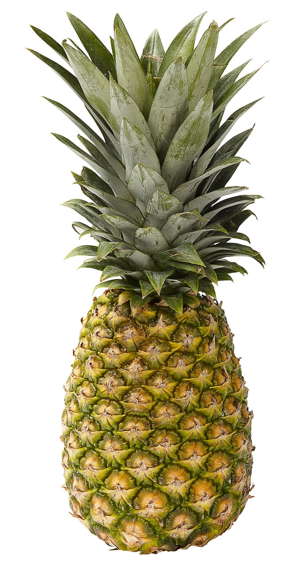 Golden Pineapple