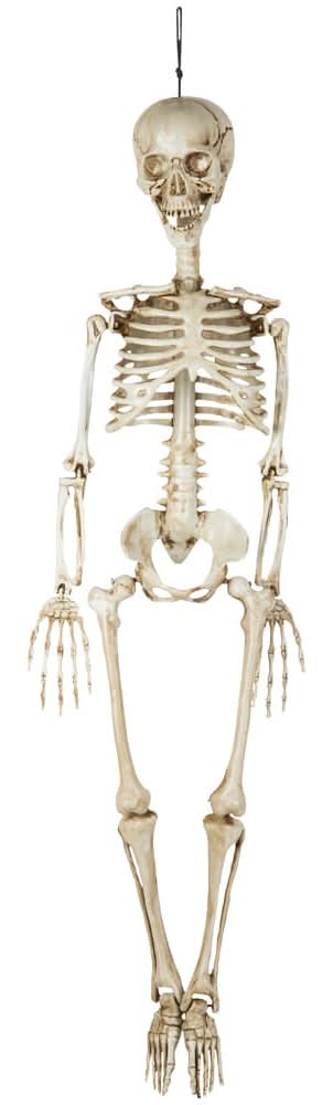 Haunted Living 3-ft Hanging Skeleton Decoration
