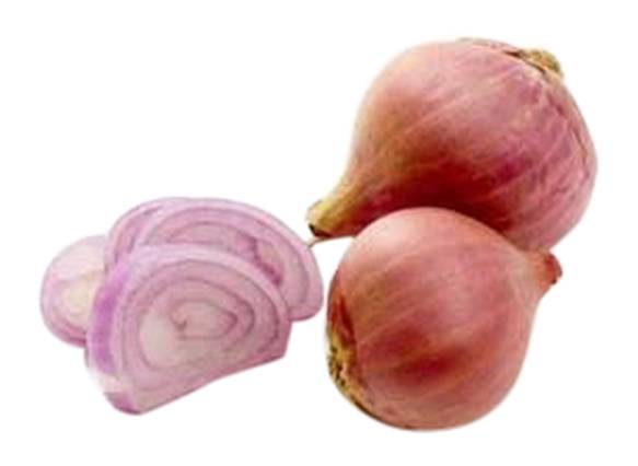 Shallots
