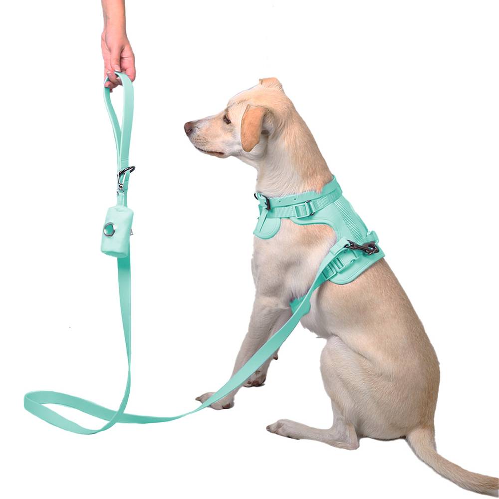 Petspaces correa match aqua (1 pieza)