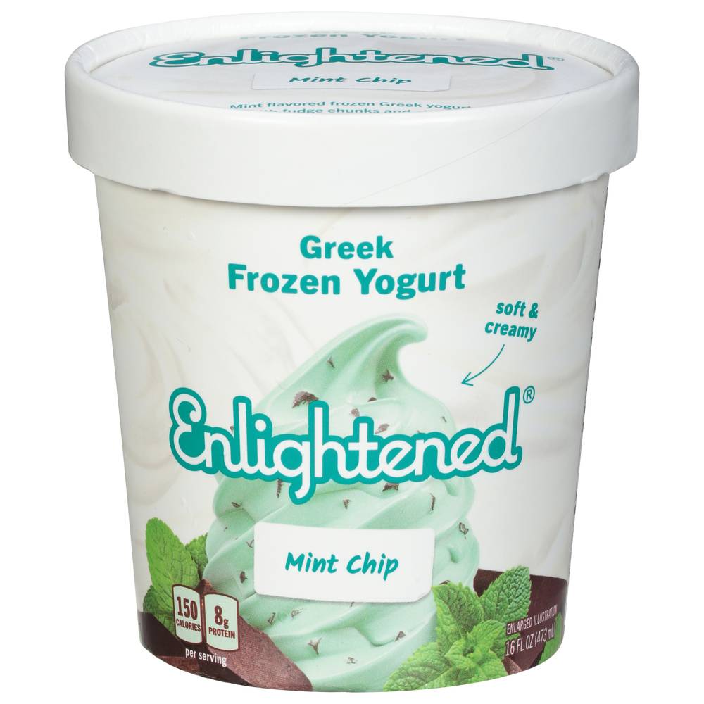 Enlightened Greek Frozen Yogurt, Mint Chip (16 fl oz)