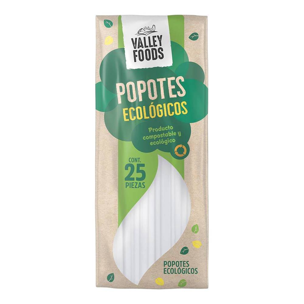 Valley Foods · Popote biodegradable (25 un)