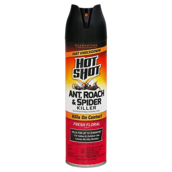 Hot Shot Ant Roach and Spider Killer (17.5 oz)