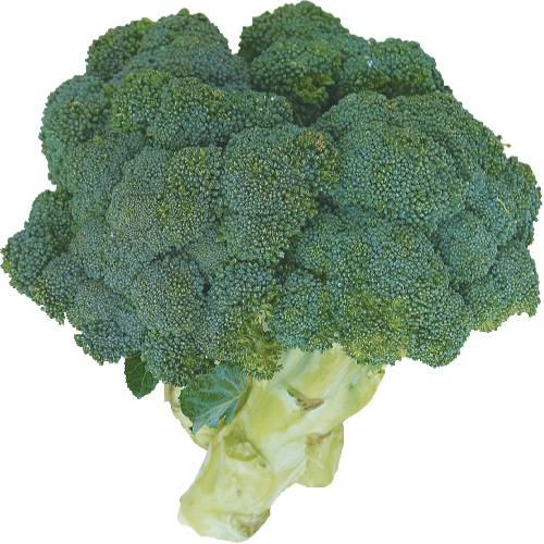 Broccoli Crown (Avg. 0.79lb)